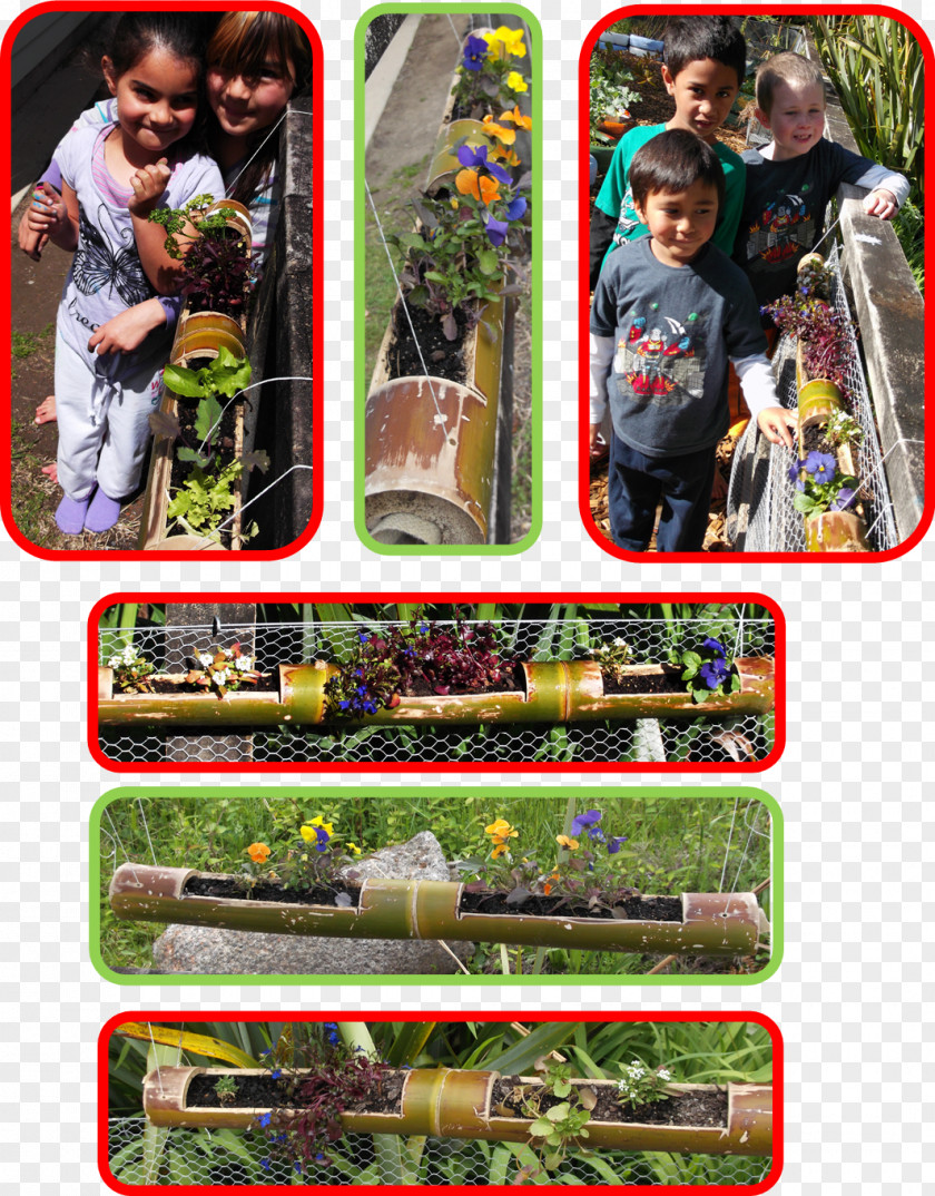 Bamboo Fence Karetu School Gardening TUI Group Tracey Dee PNG