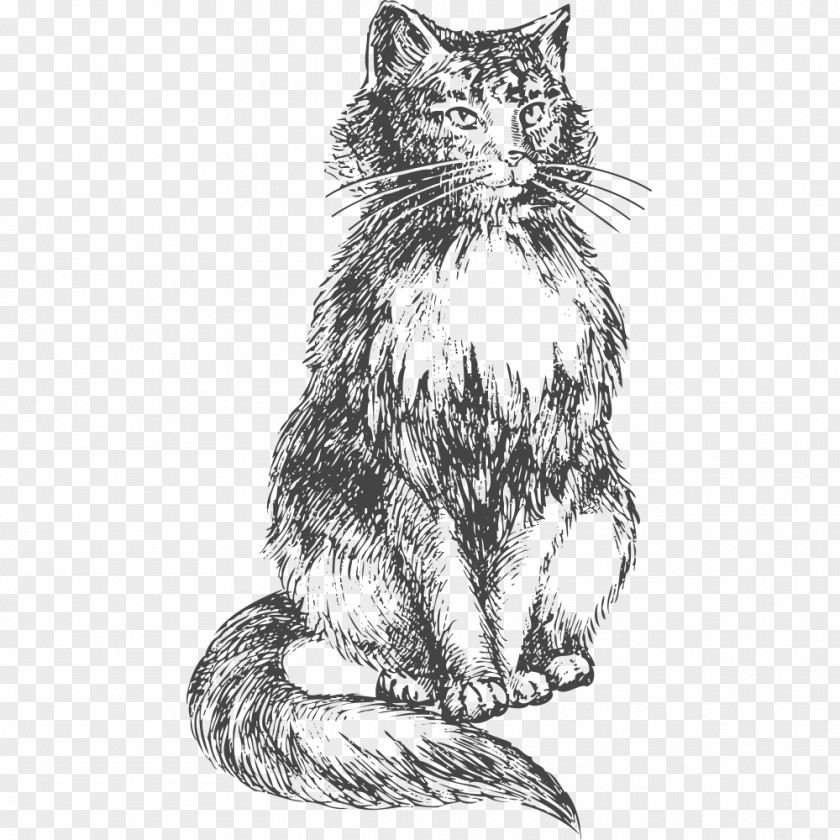 Black Kitten Cat Felidae Vector Graphics Stock Photography Illustration PNG