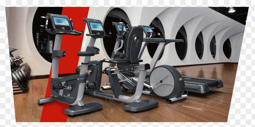 Bodybuilding Exercise Equipment Fitness Centre Machine Physical PNG