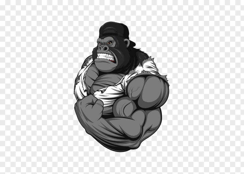 Bodybuilding Gorilla Fitness Centre PNG