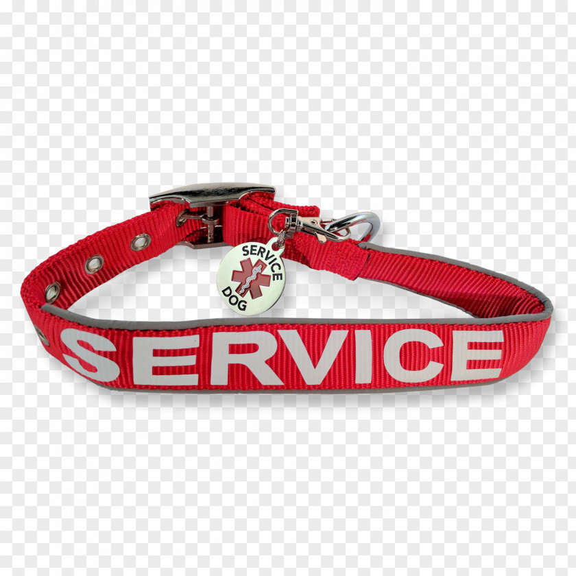 Dog Collar Leash Service Animal PNG