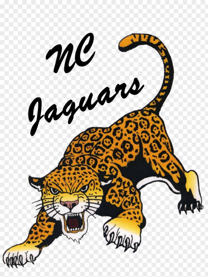 Tiger Jacksonville Jaguars Northern Cass Middle School Clip Art PNG