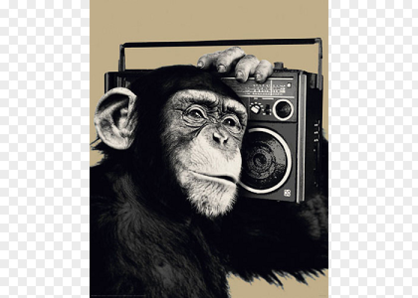 Monkey Chimpanzee Poster Primate Image PNG