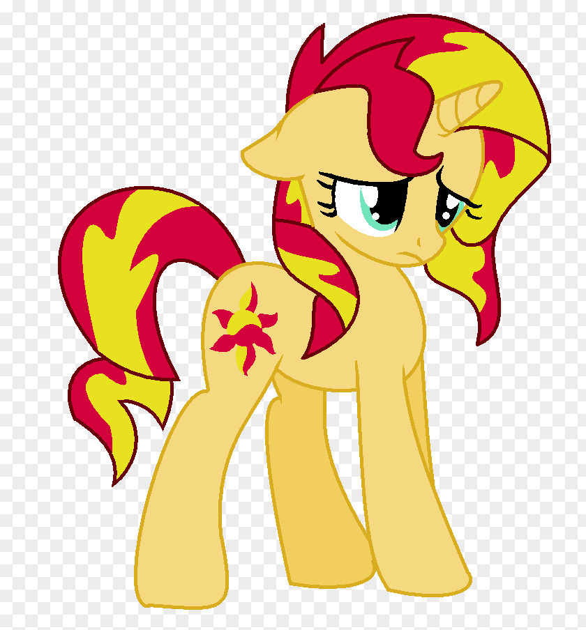 My Little Pony Sunset Shimmer Rainbow Dash Pinkie Pie Twilight Sparkle Rarity PNG