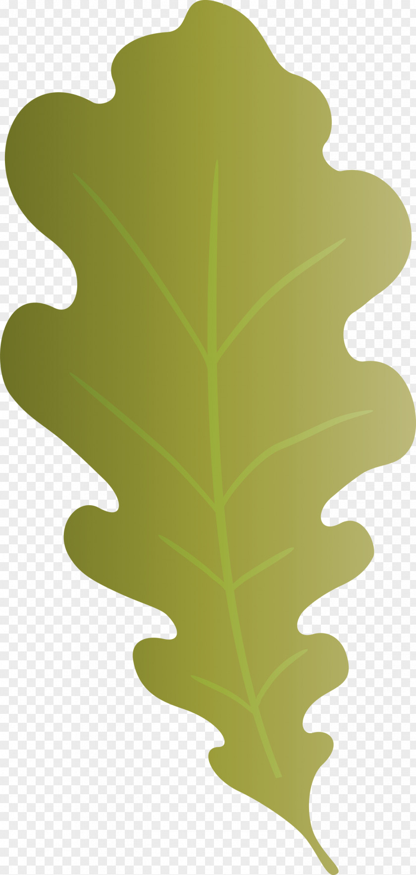 Oak Leaf PNG