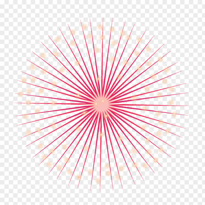 Pink Dandelion Light Pattern PNG