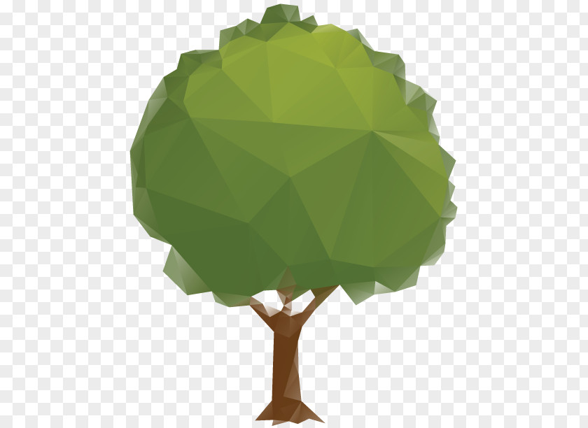 Tree Leaf Ecology Clip Art PNG