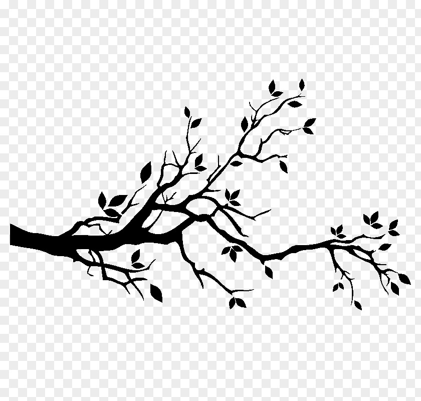 Tree Wall Decal Branch Drawing PNG