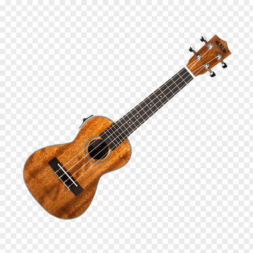 Bass Guitar Ukulele Seven-string Electric PNG