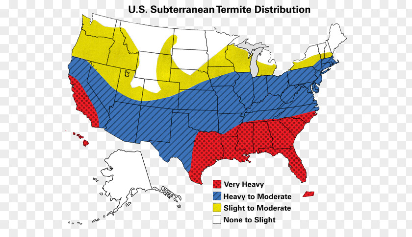 Brown Recluse Spider Centers For Disease Control And Prevention Influenza Vaccine Outbreak Epidemic PNG