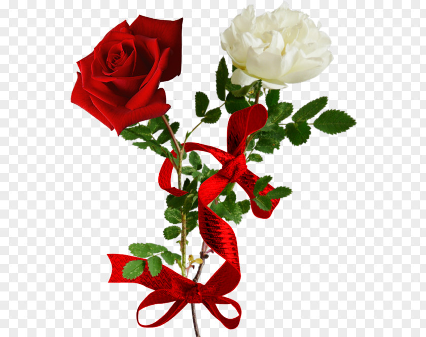 Cartoon Red Roses White Ribbon Bow Flower Clip Art PNG