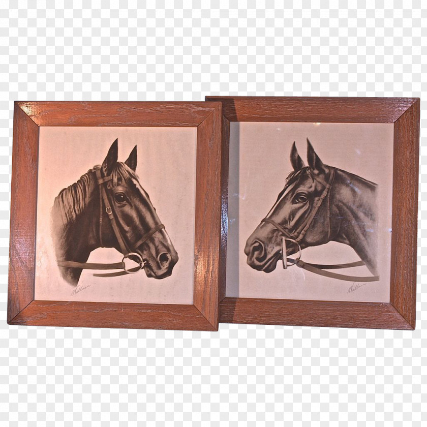 Mustang Bridle Halter Rein Picture Frames PNG