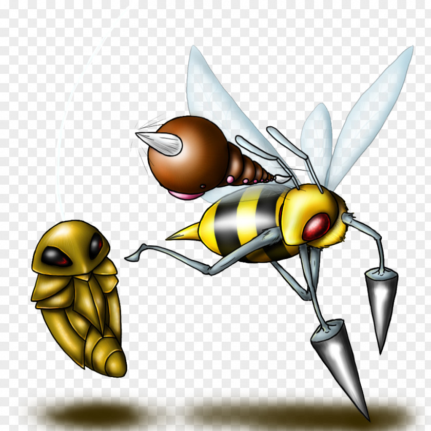Pokemon Honey Bee Kakuna Weedle Evolution Pokémon X And Y PNG