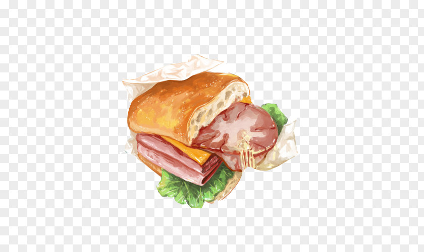 Vegetable Meat Pie Chips Painting Material Picture Breakfast Sandwich Ham Meatloaf Submarine Cheeseburger PNG
