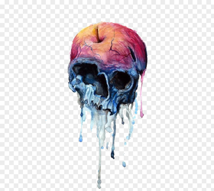 Apple Human Skull Symbolism Drawing PNG
