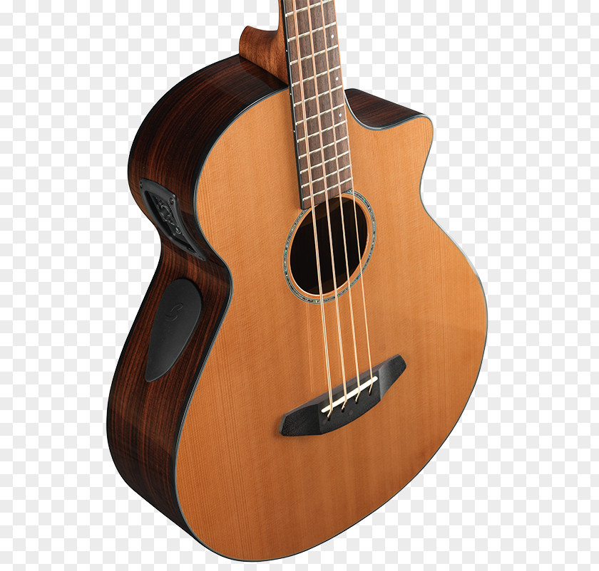 Bass Musical Instrument Acoustic Guitar Cuatro Tiple Acoustic-electric PNG