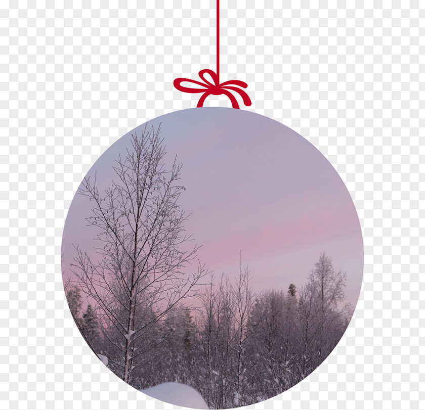 Christmas Tree Ornament Sky Plc PNG