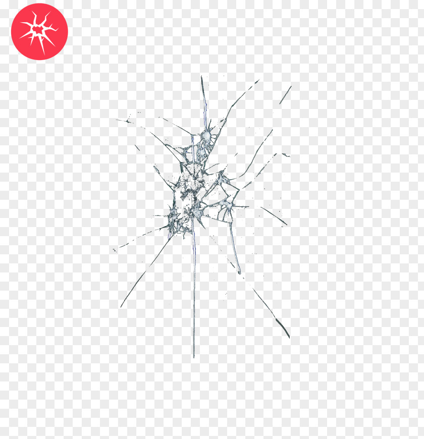 Line Point Angle Tree PNG