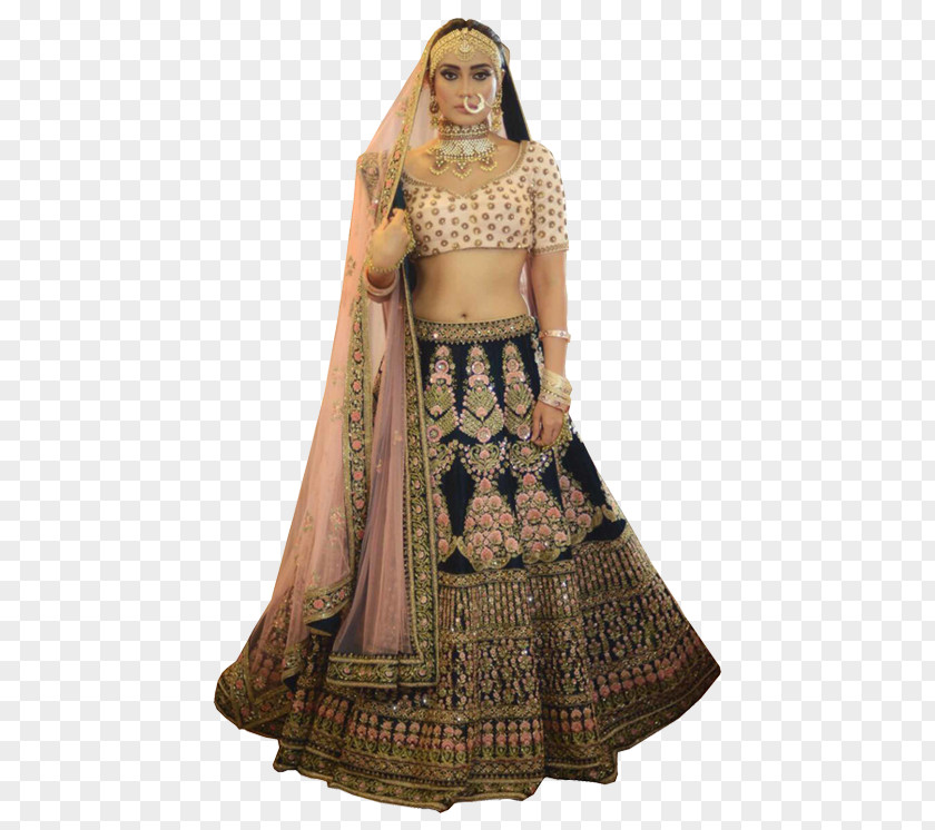 Fashion Banner Lehenga Gagra Choli Sari Blouse PNG