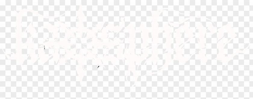 Light White Black PNG