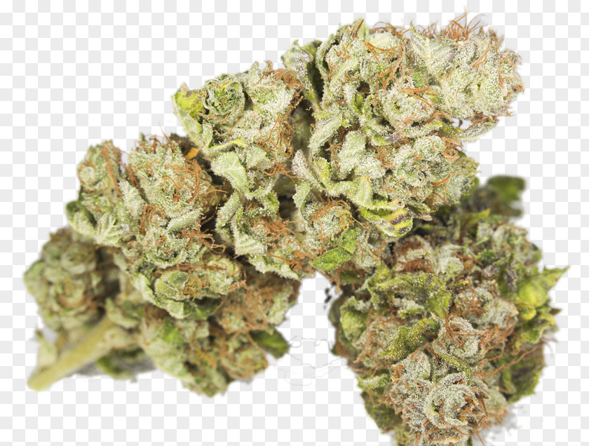 Marijuana Hulk Kush Cannabis Sativa Strain PNG