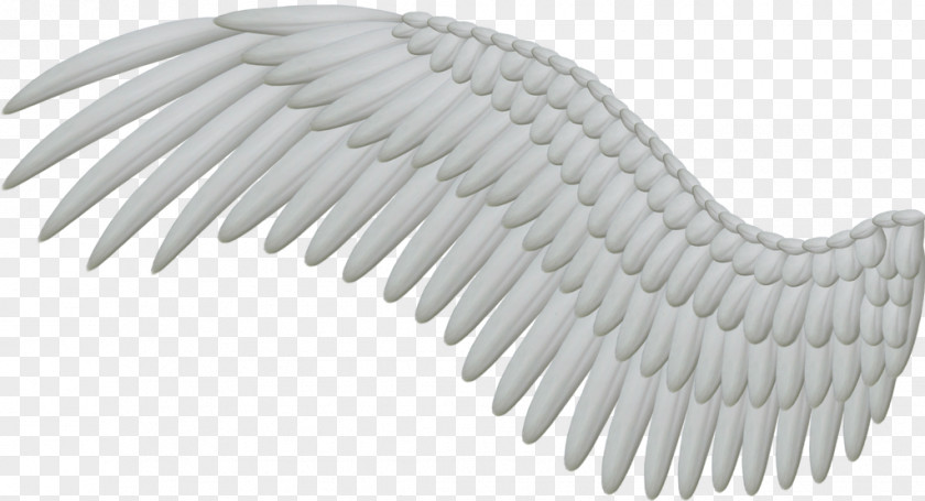 Angel Wings Thy Darkest Clip Art Openclipart Vector Graphics Free Content PNG