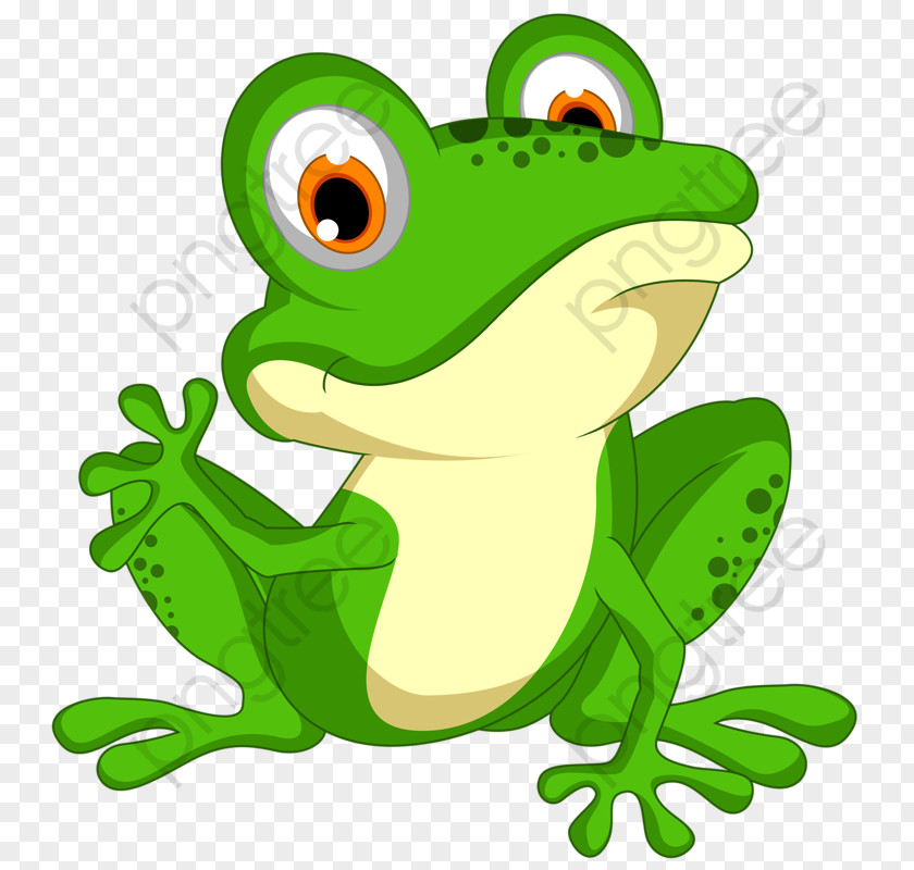 Bufo Bullfrog Frog Cartoon PNG