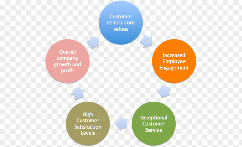 Customer Experience Organization Chart Business Diagram Microsoft PNG
