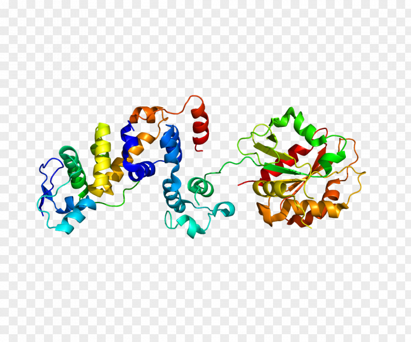 F-box Protein Fbx15 Gene Family PNG