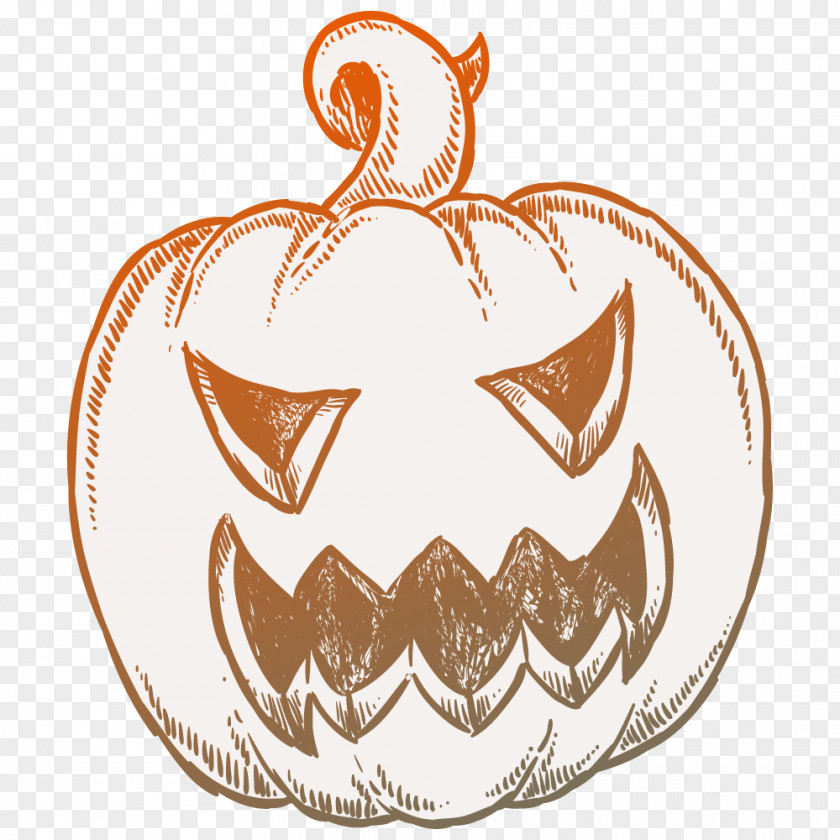 Hand-painted Halloween Pumpkin Png Jack-o'-lantern PNG