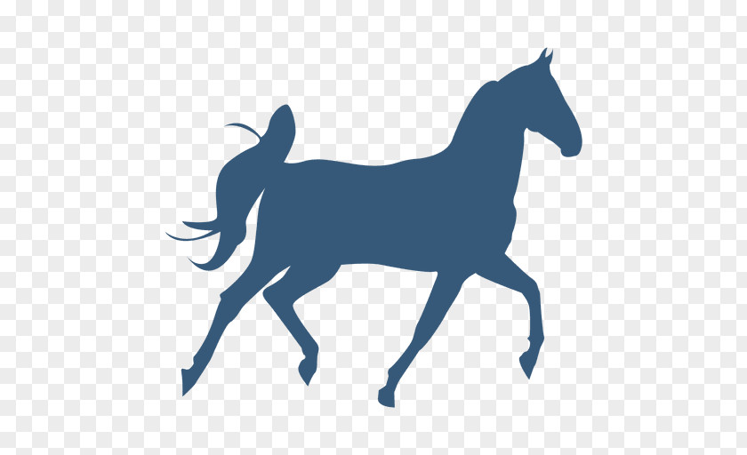 Horse Gallop Silhouette PNG