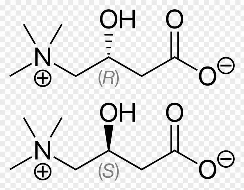 Levocarnitine Fatty Acid Bindii Acetylcarnitine Chemical Compound PNG