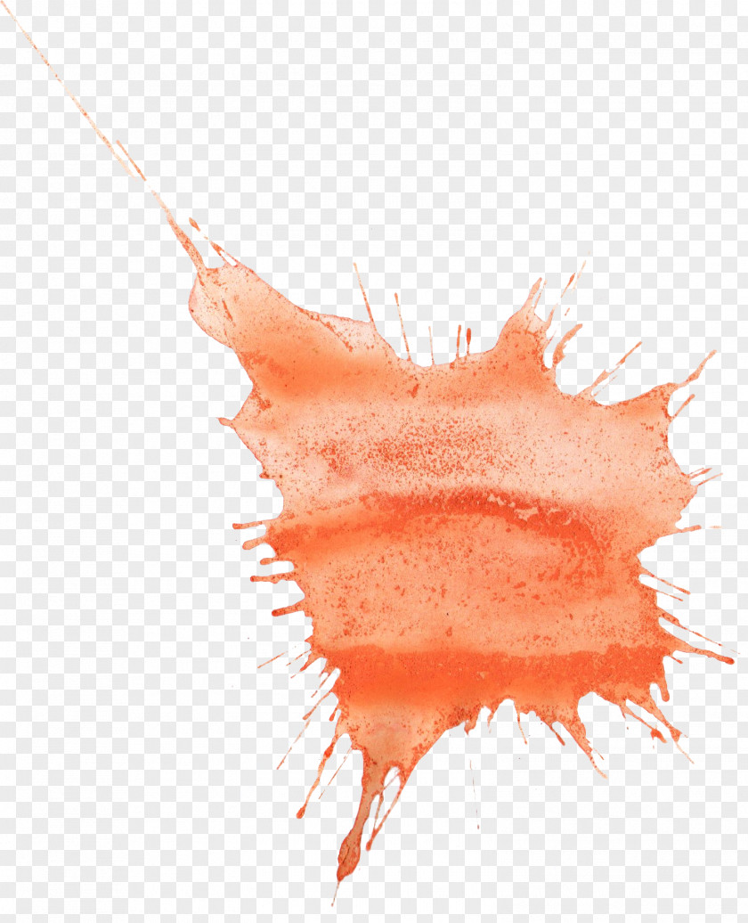 Orange Watercolor Painting Art PNG