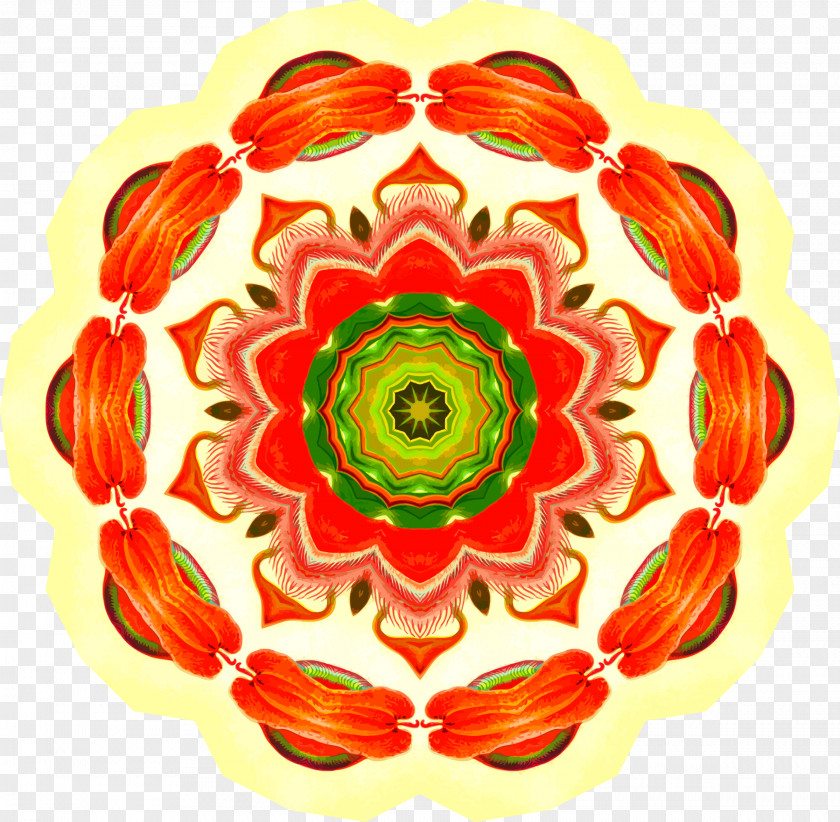 Flower Drawing Rotational Symmetry Floral Design PNG