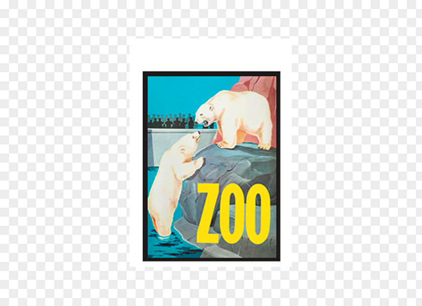 Polar Bear Copenhagen Zoo Poster Picture Frames PNG