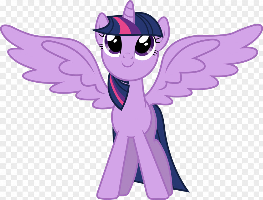 Sparkle Twilight Princess Celestia Cadance My Little Pony PNG