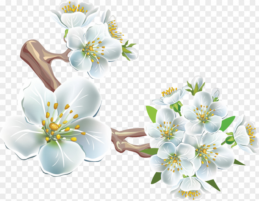 Spring Flowers Branch Clip Art PNG