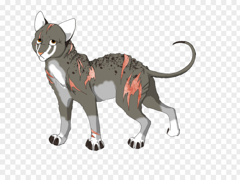 Cat Dog Canidae Cartoon PNG