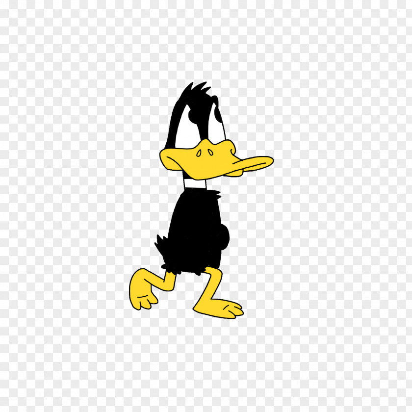 Duck Daffy Looney Tunes US National Anthem PNG