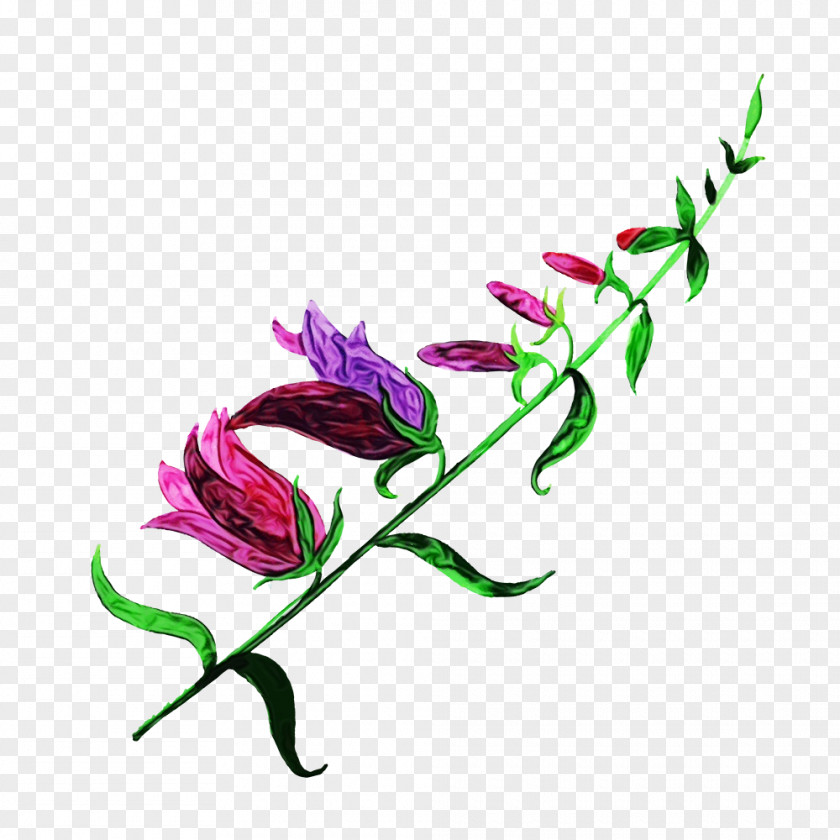 Floral Design PNG