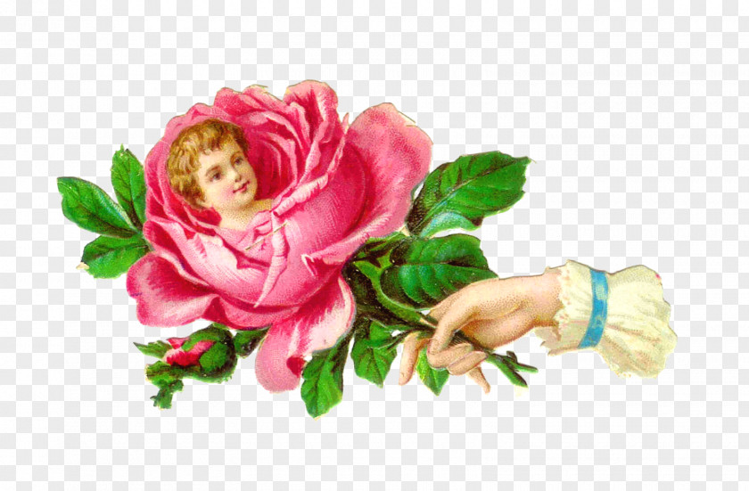 Flower Vintage Victorian Era Poetry Of Flowers Rose Clip Art PNG