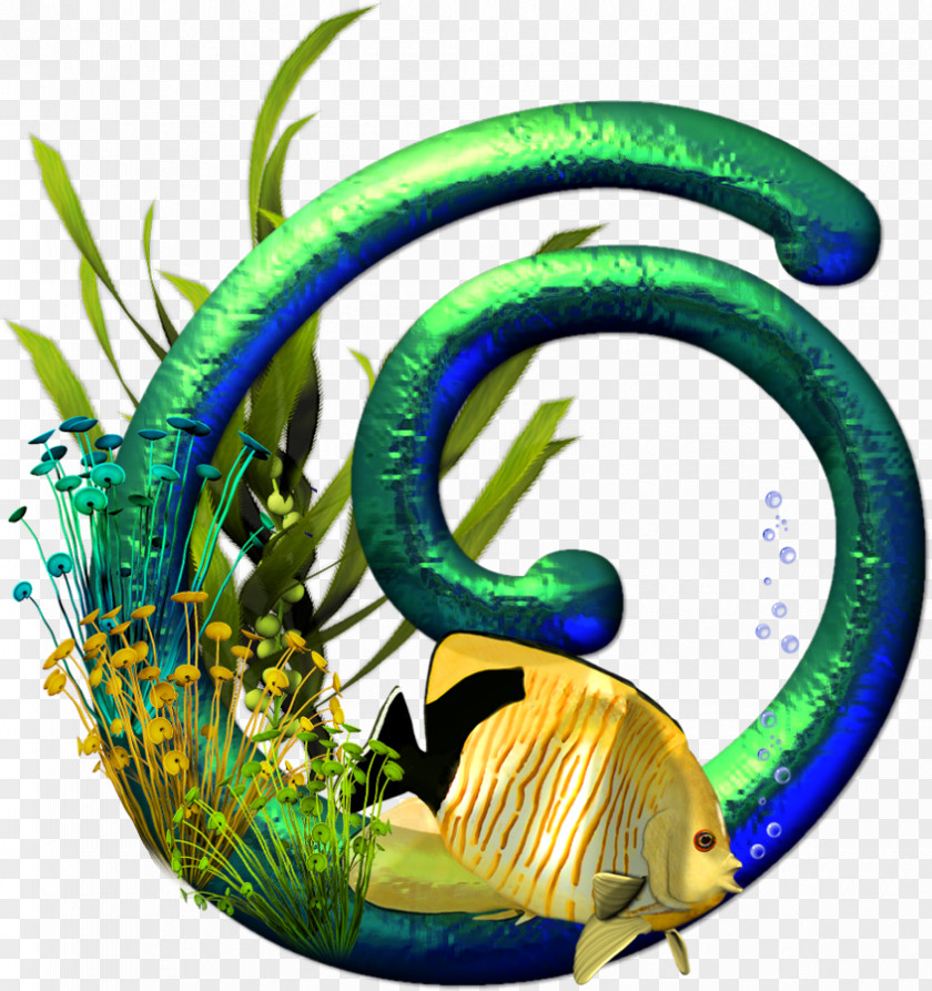 Fundo Do Mar Letter Alphabet N PNG