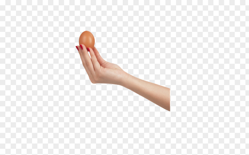 Mf Chicken Egg Thumb PhotoScape PNG