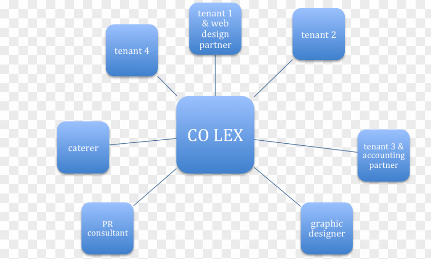 Network Structure Organizational Chart Theory PNG