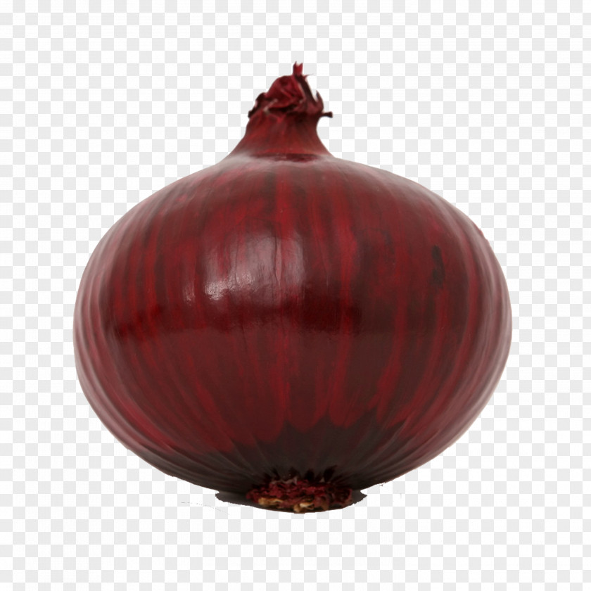 Onion Red Shallot Vegetable Scallion PNG