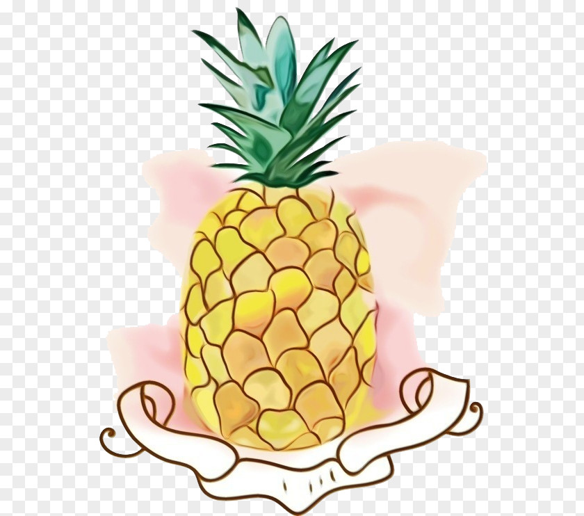 Poales Natural Foods Pineapple PNG