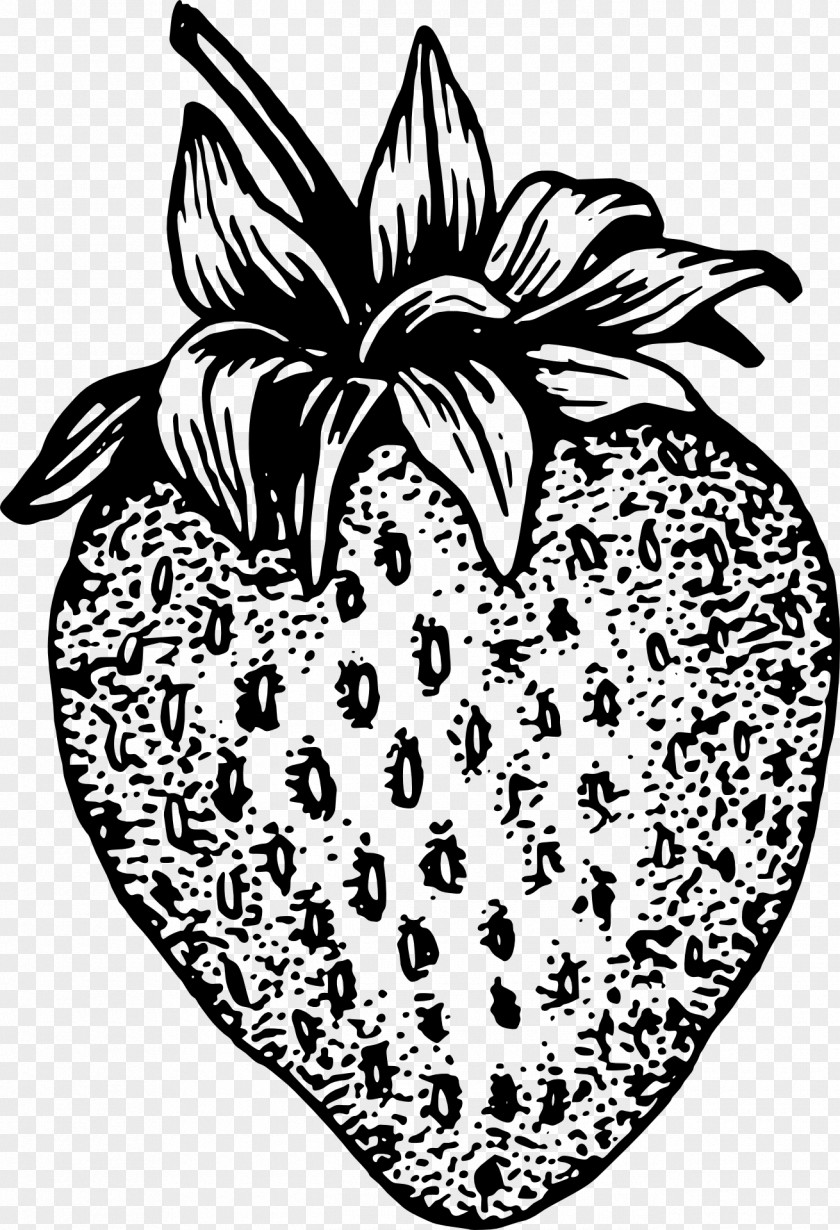 Strawberry Fruit Clip Art PNG