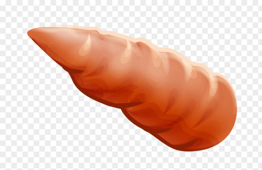 A Carrot Orange PNG