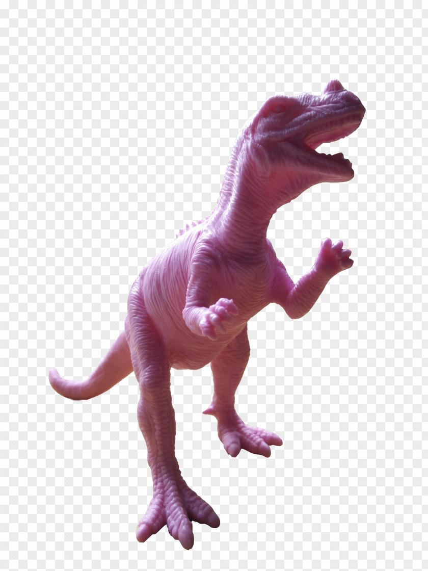 Dinosaur Pink Tyrannosaurus Velociraptor Animal PNG