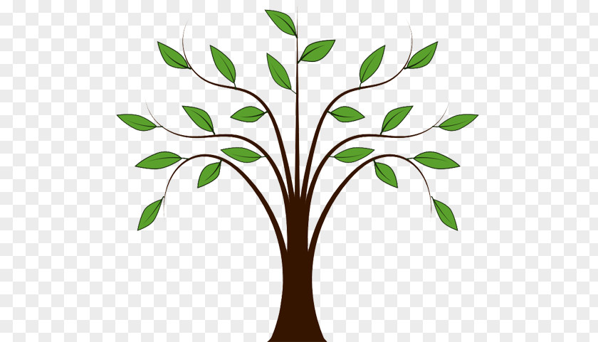 Family Tree Clipart Drawing Clip Art Vector Graphics Openclipart Free Content PNG
